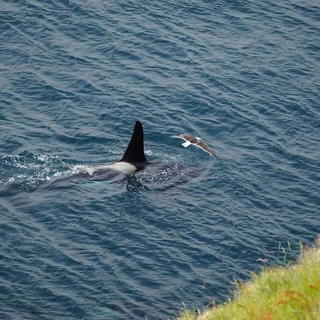 Campston Lägenhet Toab Exteriör bild